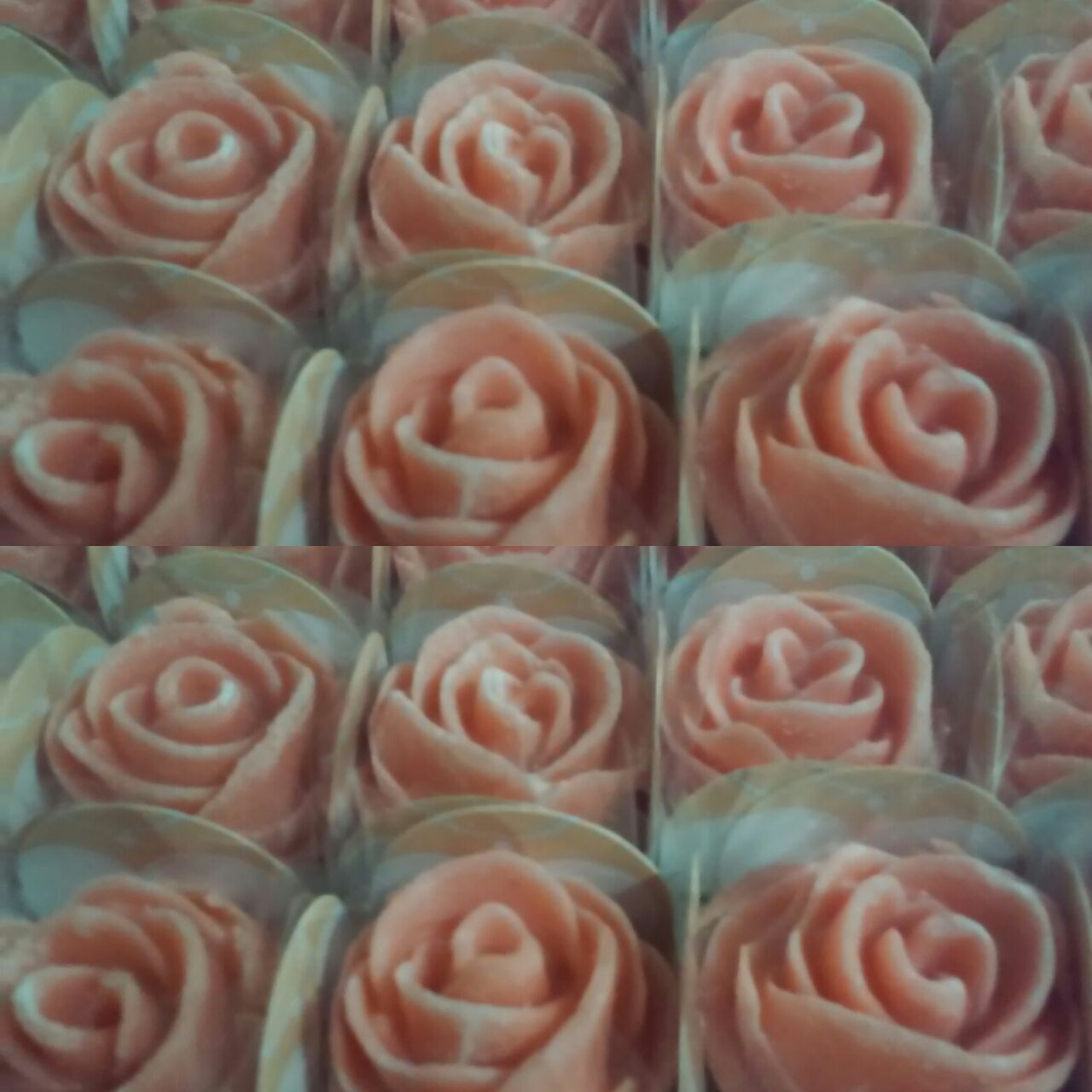 Brigadeiro Rose – Bild 2