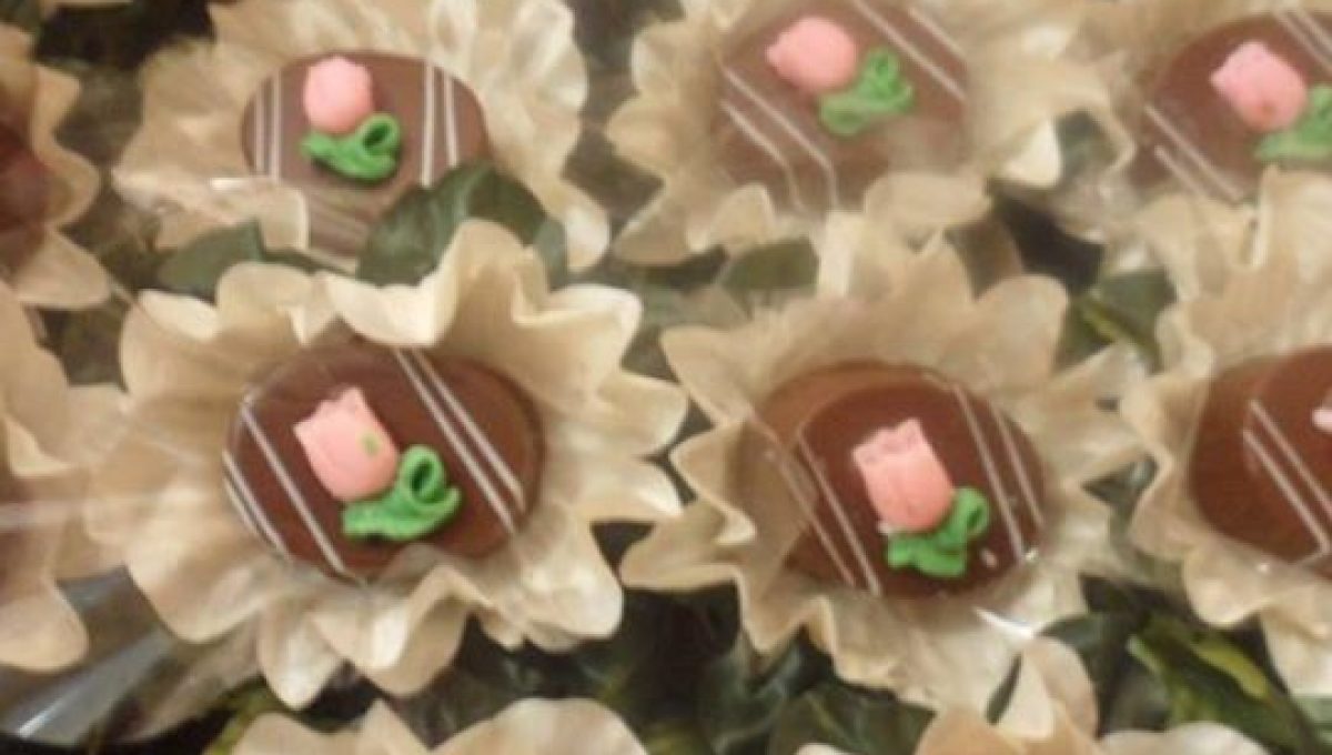 Süße Tulpe Süße Tulpe