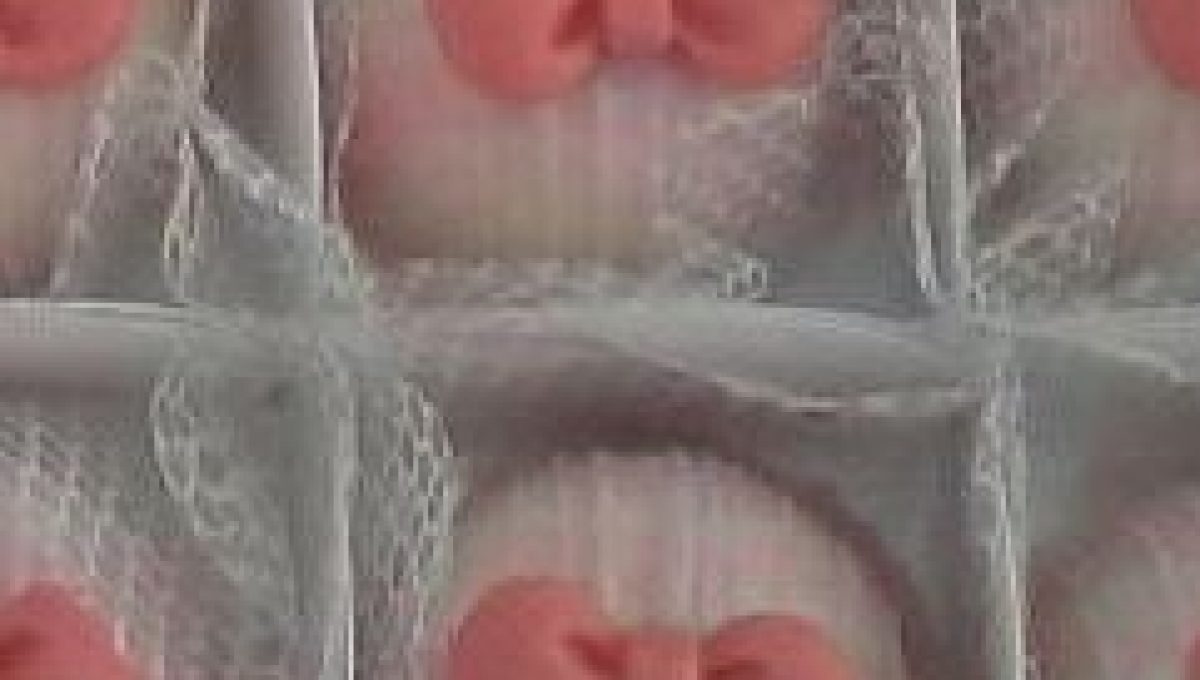 Süßes Vergnügen Süßes Vergnügen